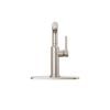 Pull-Out Kitchen Faucet (Recertified)