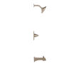 Tub/Shower Trim 14S (Recertified)