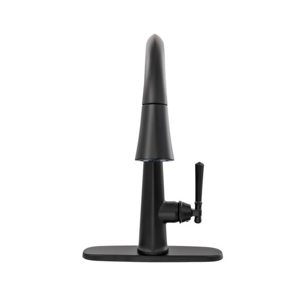 Pull-Down Kitchen w/ShieldSpray (Recertified)