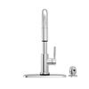 Single Handle Pull-Down Kitchen Faucet with Touch<sub>2</sub>O&reg; Technologyand Soap Dispenser
