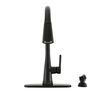 Touch<sub>2</sub>O&reg; Technology Pull-Down Kitchen w/Soap (Recertified)