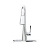 Pull-Down Kitchen with Soap Disp Bundle