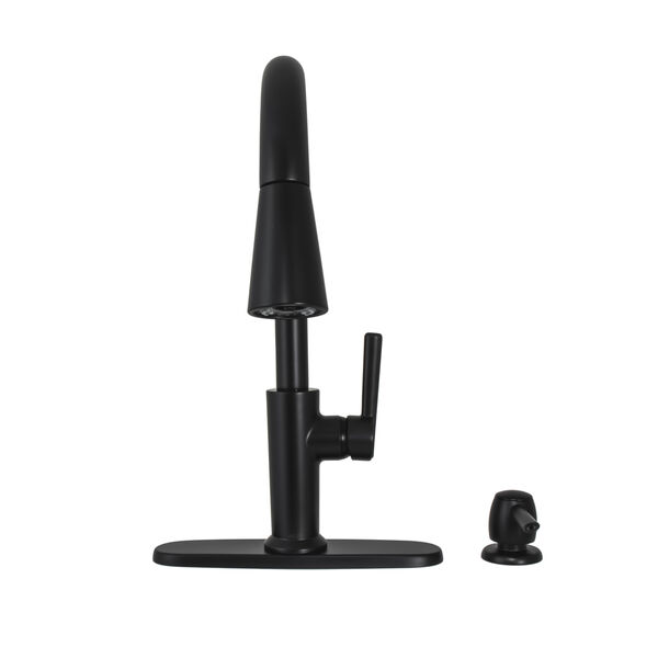 Single Handle Pull-Down Kitchen Faucet with Soap Dispenser and ShieldSpray Technology