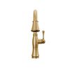 Pull-Down Kitchen w/ShieldSpray (Recertified)