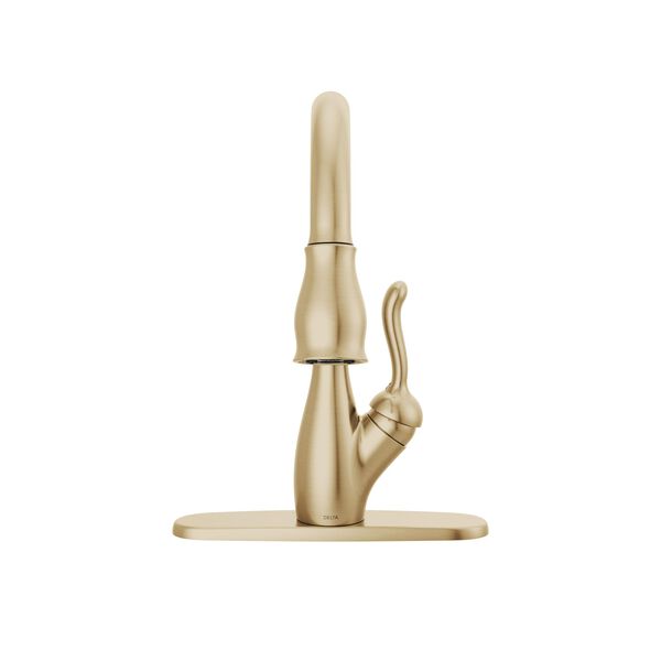 Single Handle Pull-Down Kitchen Faucet with ShieldSpray&reg; Technology