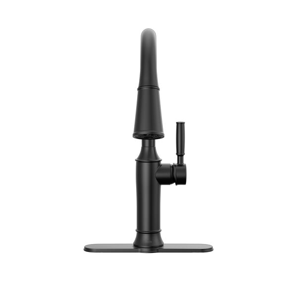 Single Handle Pull-Down Kitchen Faucet (Recertified)