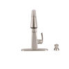 Single Handle Pull-Down Kitchen Faucet with Soap Dispenser and ShieldSpray&reg; Technology