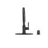 Single Handle Pull-Down Kitchen Faucet with Soap Dispenser (Recertified)