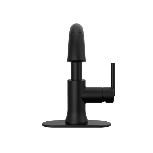 Single Handle Pull-Down Bathroom Faucet