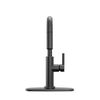 Single Handle Pull-Down Kitchen Faucet (Recertified)