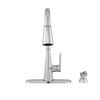 Pull-Down Kitchen Faucet w/Soap (Recertified)
