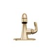 Single Handle Pull-Down Bathroom Faucet