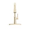 Single Handle Pull-Down Kitchen Faucet with Soap Dispenser and ShieldSpray Technology