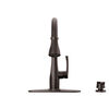 Single Handle Pull-Down Kitchen Faucet with Soap Dispenser and ShieldSpray &reg; Technology