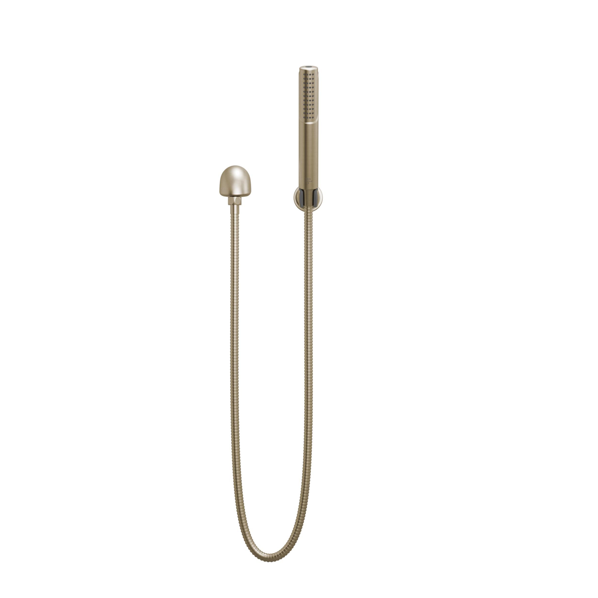 2-Setting Hand Shower with ProClean™ Spray – Wall Mount in