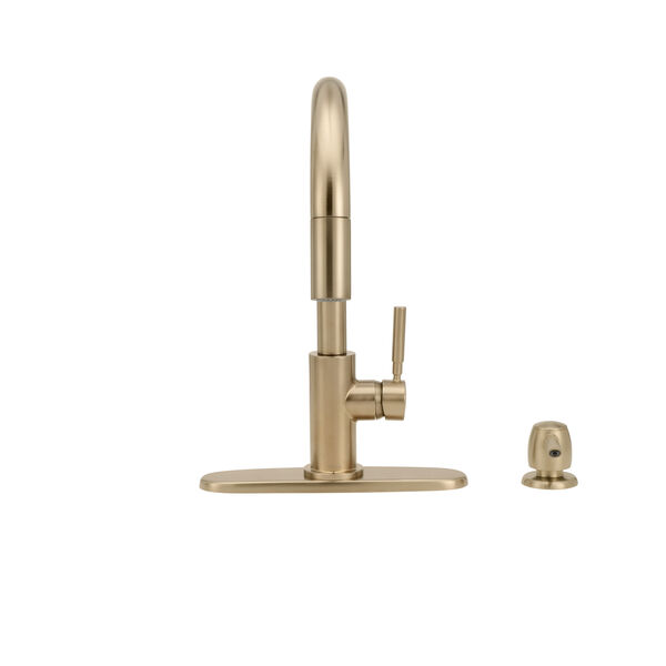Single Handle Pull-Down Kitchen Faucet with Soap Dispenser