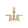 Two Handle Centerset Pull-Down Bathroom Faucet