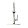 Single Handle Pull-Down Kitchen Faucet with ShieldSpray Technology