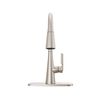 Pull-Down Kitchen Faucet (Recertified)