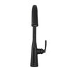 Touch<sub>2</sub>O&reg;  Pull-Down Kitchen (Recertified)