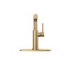 Pull-Out Kitchen Faucet (Recertified)
