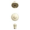 H<sub>2</sub>Okinetic&reg; Tub Shower Trim