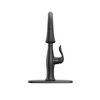 Single Handle Pull-Down Kitchen Faucet