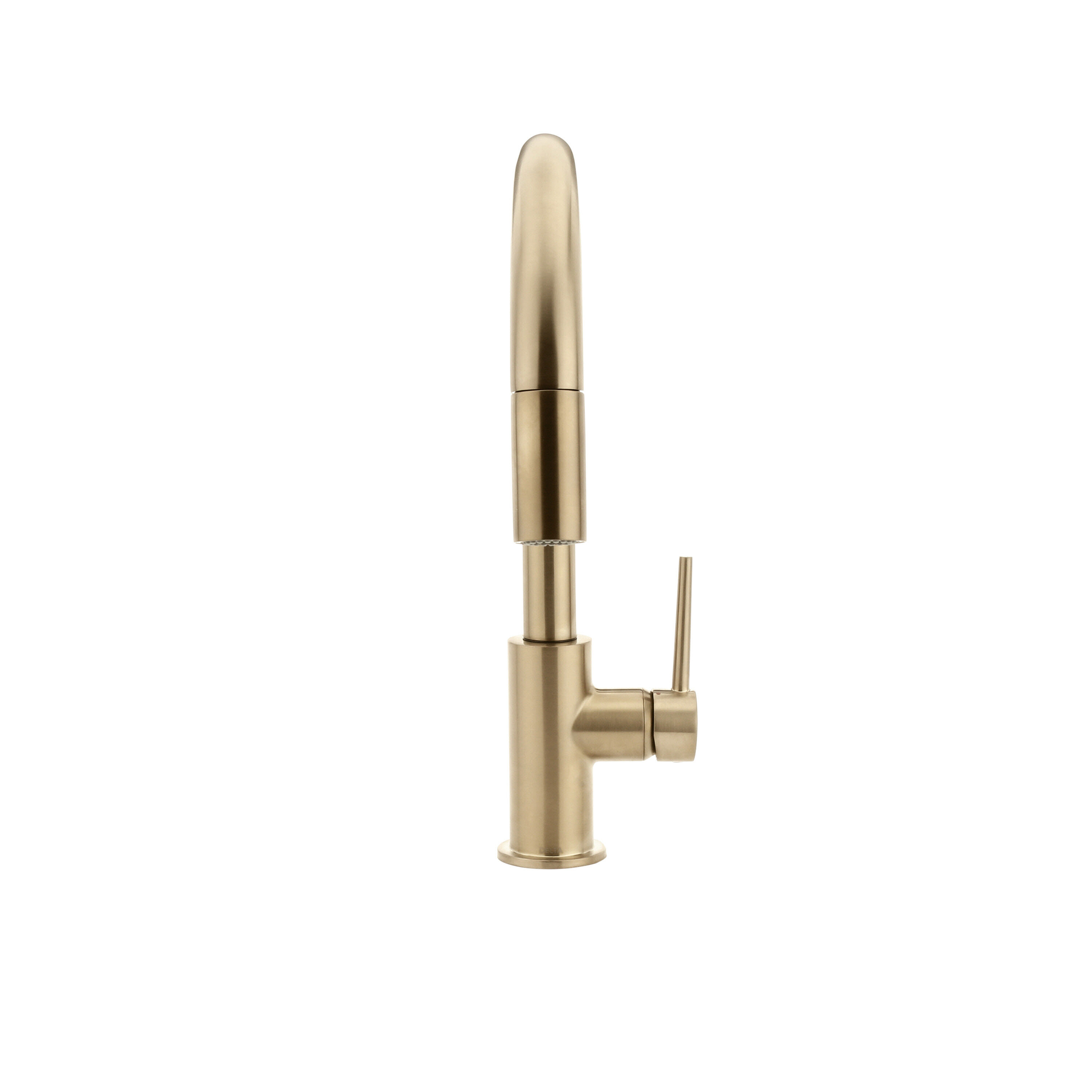 Single Handle Pull-Down Kitchen Faucet (Recertified) in Champagne