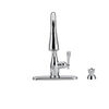 Pull-Down Kitchen Faucet w/Soap (Recertified)