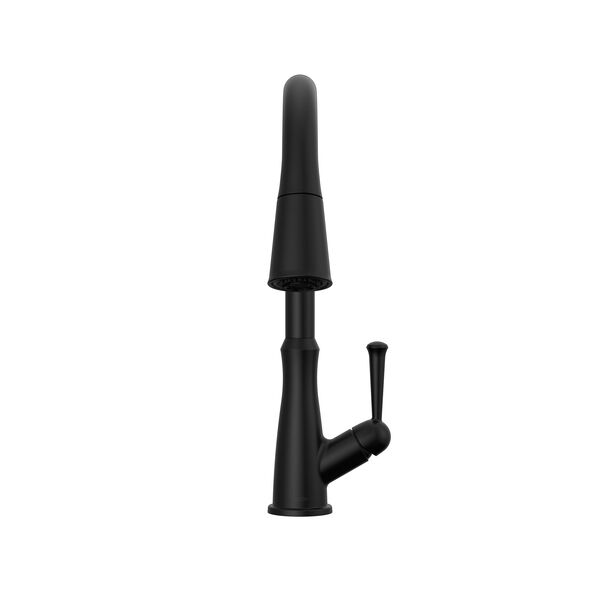 Single Handle Pull-Down Kitchen Faucet