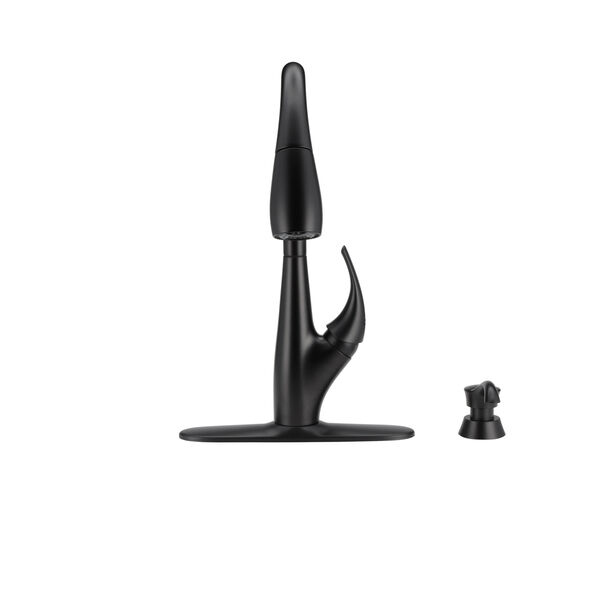Single Handle Pull-Down Kitchen Faucet with Soap Dispenser and ShieldSpray&reg; Technology
