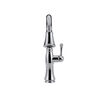 Single Handle Pull-Down Kitchen Faucet with ShieldSpray&reg; Technology (Recertified)