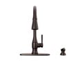 Single Handle Pull-Down Kitchen Faucet with Soap Dispenser and ShieldSpray Technology