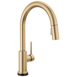 Single Handle Pull-Down Kitchen Faucet with Touch<sub>2</sub>O® Technology