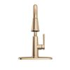 Single Handle Pull-Down Kitchen Faucet