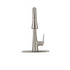 Single Handle Pull-Down Kitchen Faucet with ShieldSpray