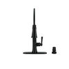 Pull-Down Kitchen w/Soap Disp (Recertified)
