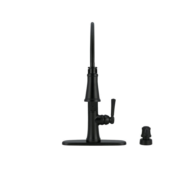 Pull-Down Kitchen w/Soap Disp (Recertified)
