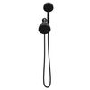 5-Setting Two-in-One Combination Shower with Additional Mount