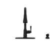 Single Handle Pull-Down Kitchen Faucet with Soap Dispenser and ShieldSpray Technology