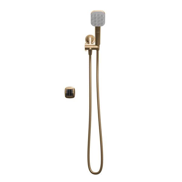 Detangling Shower Tool