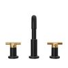 Widespread Lavatory Faucet with Shower Trim Bundle - 14 Series