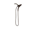 H2Okinetic&reg;&nbsp;In2ition&reg;&nbsp;5-Setting Two-in-One Shower
