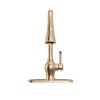 Single Handle Pull-Down Kitchen Faucet