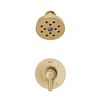 Monitor&reg; 17 Series H<sub>2</sub>Okinetic&reg; Shower Trim (Recertified)