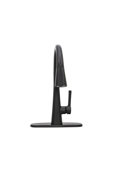Pull-Down Kitchen Faucet (Recertified)