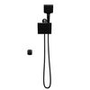 5-Setting Two-in-One Combination Shower with Additional Mount