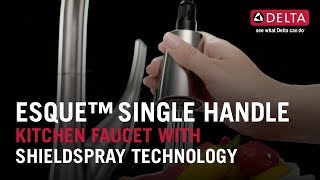 Thumbnail image of Esque<sup>&trade;</sup> Single-Handle Kitchen Faucet with ShieldSpray Technology