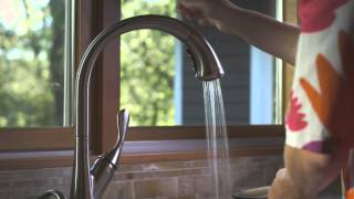 Thumbnail image of The essence of the Delta Faucet brand