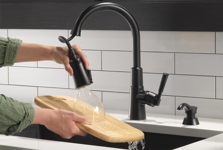 Emmeline™ Single Handle Pull-Down Kitchen Faucet With ShieldSpray® Technology In Matte Black